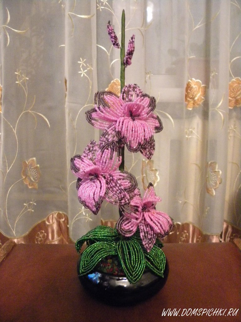 Орхидея из бисера — лучшие схемы и самые красивые варианты для начинающих